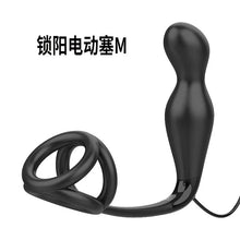 Load image into Gallery viewer, Pleasure Suoyang Electric Anus Plug Warming Exploratory Challenge Electric Rear Court Plug Magnetic Charging Fun Products